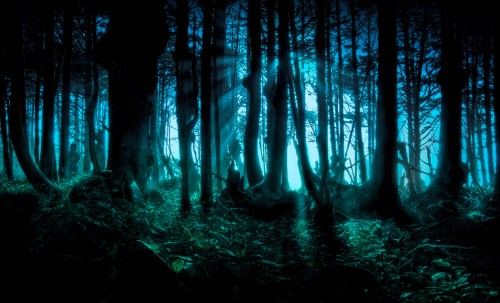 democraticismo-ocalta-bosque